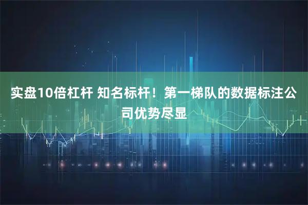 实盘10倍杠杆 知名标杆！第一梯队的数据标注公司优势尽显